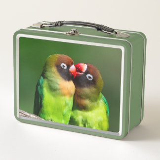 Lunch Box Love birds
