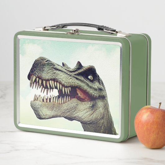 Lunch Box Lunette de dinosaure (En situation)