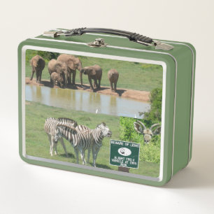 Lunch Box Lunette de zèbres et de lions sud-africains