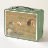 Lunch Box Lunette de zèbres et de lions sud-africains (Dos)