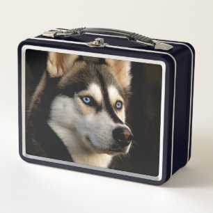 Lunch Box Magnifique Coussin de Lancement Husky