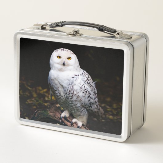 Lunch Box Magnifique harfang des neiges d'hiver (Devant)