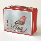 Lunch Box Maison Finch en Neige - Photo originale (Dos)