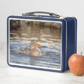 Lunch Box Mallard Duck à Downing Park (En situation)