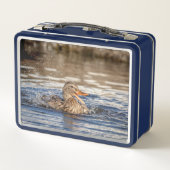 Lunch Box Mallard Duck à Downing Park (Dos)
