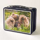Lunch Box Mama bear nourrit ses deux petits, Lake Clark Nati (Dos)
