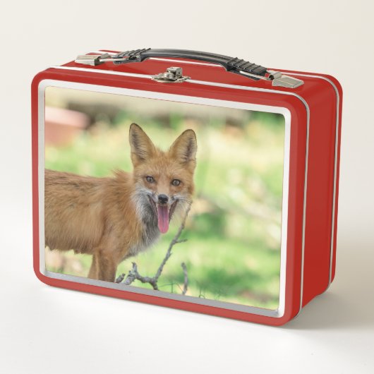 Lunch Box Mama Fox dans la vallée de l'Hudson (Devant)