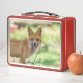 Lunch Box Mama Fox dans la vallée de l'Hudson (En situation)