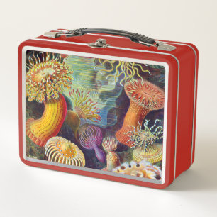 Lunch Box Marine d'actinies d'Ernst Haeckel : Actiniae