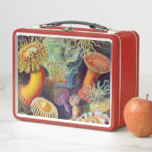 Lunch Box Marine d'actinies d'Ernst Haeckel : Actiniae (En situation)