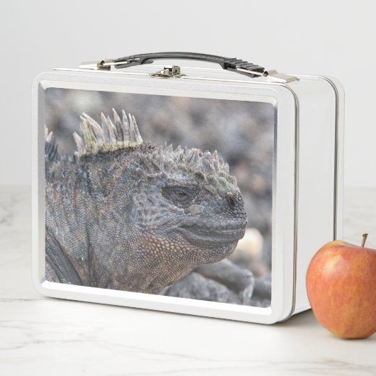 Lunch Box Marine Iguana (En situation)