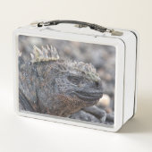 Lunch Box Marine Iguana (Dos)