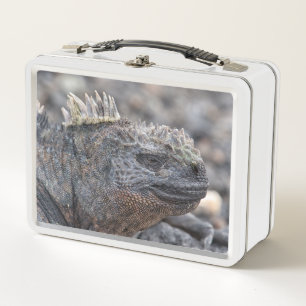 Lunch Box Marine Iguana