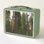 Lunch Box Mariposa Grove dans le parc national de Yosemite (Devant)