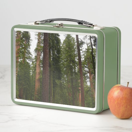 Lunch Box Mariposa Grove dans le parc national de Yosemite (En situation)
