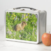 Lunch Box Marmot in Mount Rainier Wildflowers (En situation)