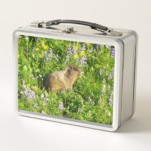 Lunch Box Marmotte dans les fleurs sauvages du mont Rainier
