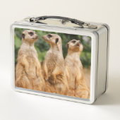Lunch Box Meerkat 007 (Dos)