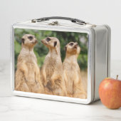 Lunch Box Meerkat 007 (En situation)