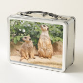 Lunch Box Meerkat 009 (Dos)