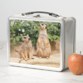 Lunch Box Meerkat 009 (En situation)
