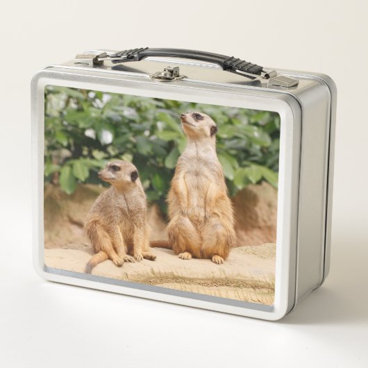 Lunch Box Meerkat 009 (Devant)