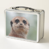 Lunch Box Meerkat 036 (Dos)