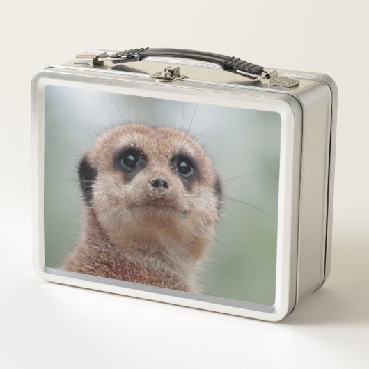 Lunch Box Meerkat 036 (Devant)