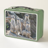 Lunch Box Meerkats (Dos)