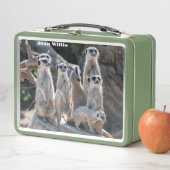 Lunch Box Meerkats (En situation)