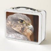LUNCH BOX MERLIN FALCON OISEAU DE PREY (Dos)