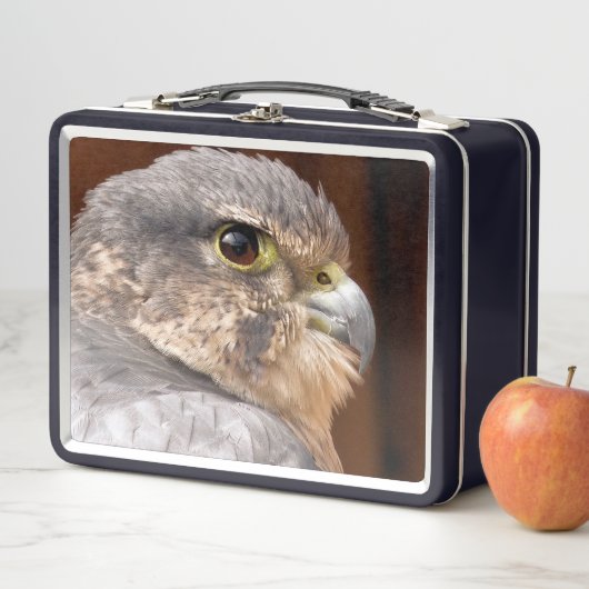 LUNCH BOX MERLIN FALCON OISEAU DE PREY (En situation)