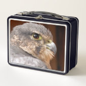 LUNCH BOX MERLIN FALCON OISEAU DE PREY (Devant)