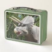 Lunch Box Mes Dinosaures (Dos)