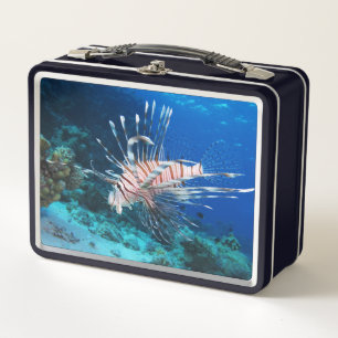 Lunch Box Miles de poissons-lions ou de ptérois, poissons de