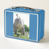 Lunch Box Mon dinosaure Brontosaure (Dos)