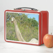 Lunch Box Mon dinosaure Brontosaurus (En situation)