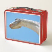 Lunch Box Mon dinosaure Brontosaurus (Dos)