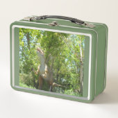 Lunch Box Mon dinosaure T-Rex (Devant)