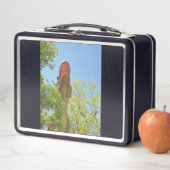 Lunch Box Mon Tyrannosaure Rex (En situation)