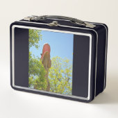 Lunch Box Mon Tyrannosaure Rex (Devant)
