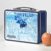 Lunch Box Moose urbaine (En situation)