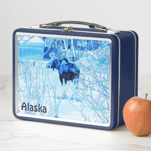 Lunch Box Moose urbaine (En situation)