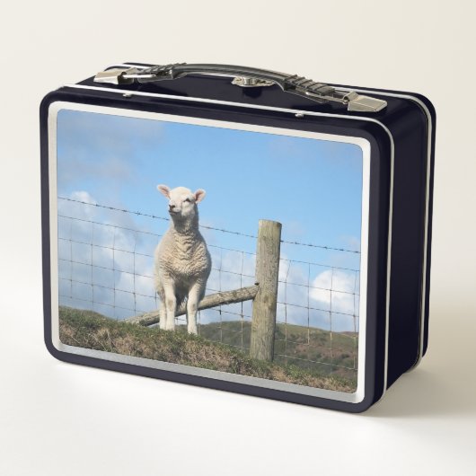 LUNCH BOX MOQUETTE (Dos)