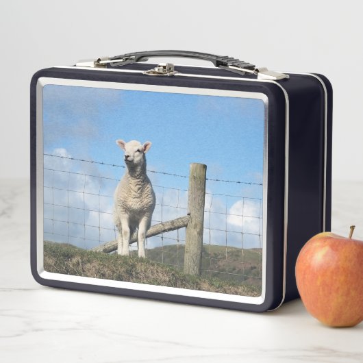 LUNCH BOX MOQUETTE (En situation)