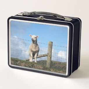 LUNCH BOX MOQUETTE