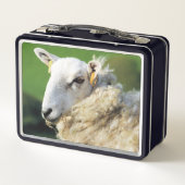 LUNCH BOX MOQUETTE (Dos)