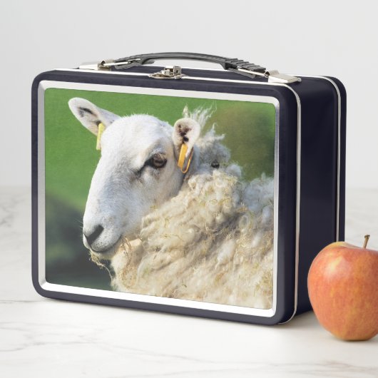 LUNCH BOX MOQUETTE (En situation)