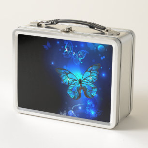 Lunch Box Morpho Butterfly in the Dark Background