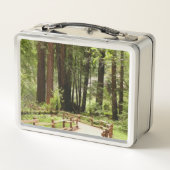 Lunch Box Muir Woods Chemin I Nature Photographie (Dos)